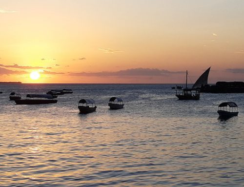 3 redenen waarom je naar Zanzibar op vakantie zou moeten gaan