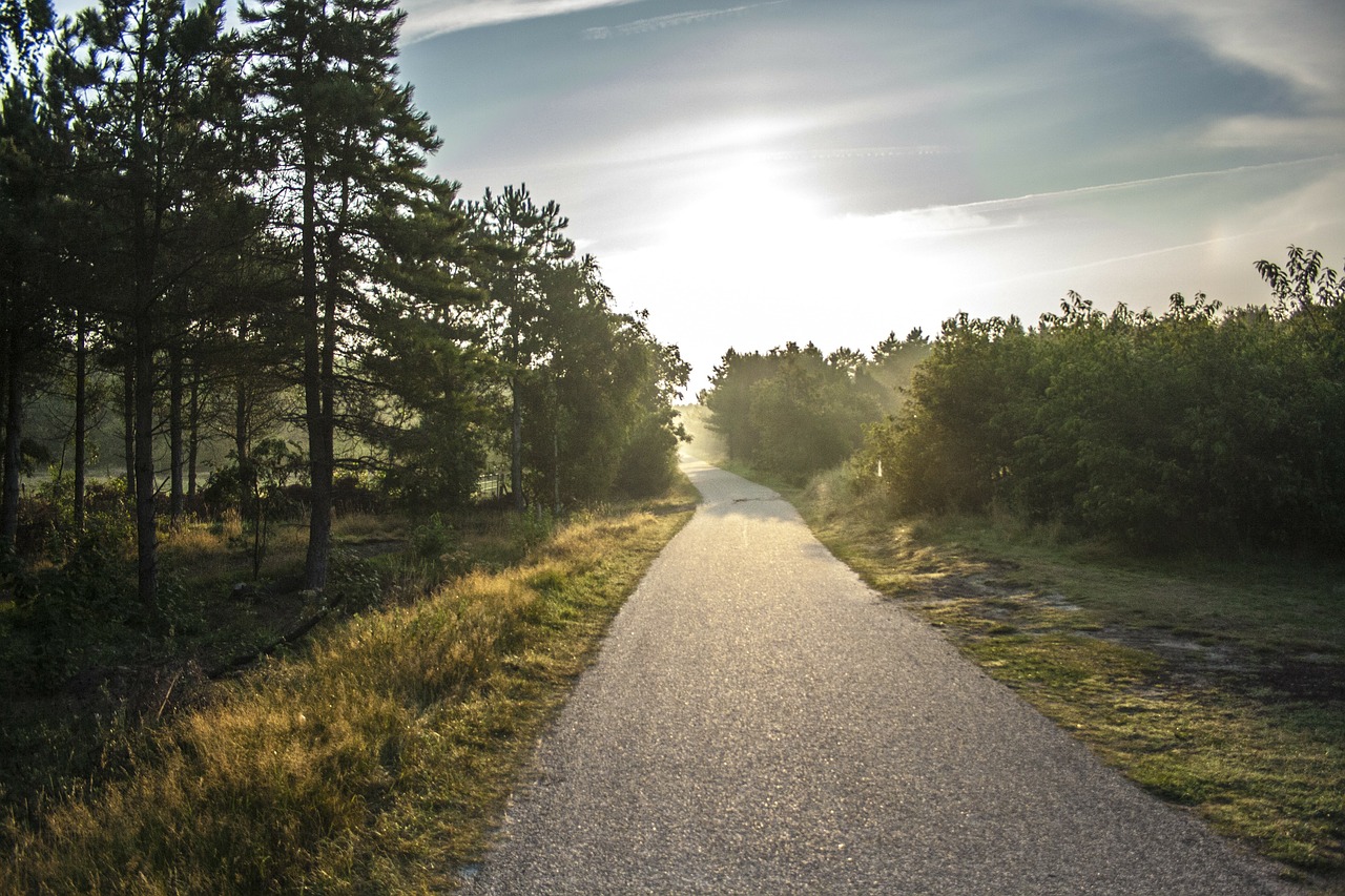Vakantie Ameland fietspad natuur
