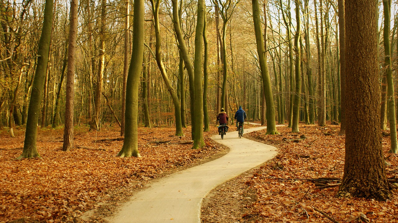 Vakantie Nederland Veluwe bos fietsen