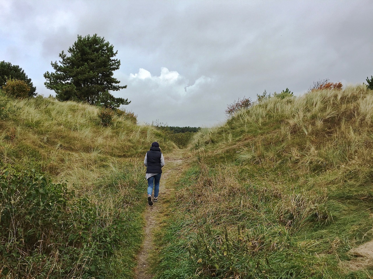 Ameland wandelen duinen vakantie