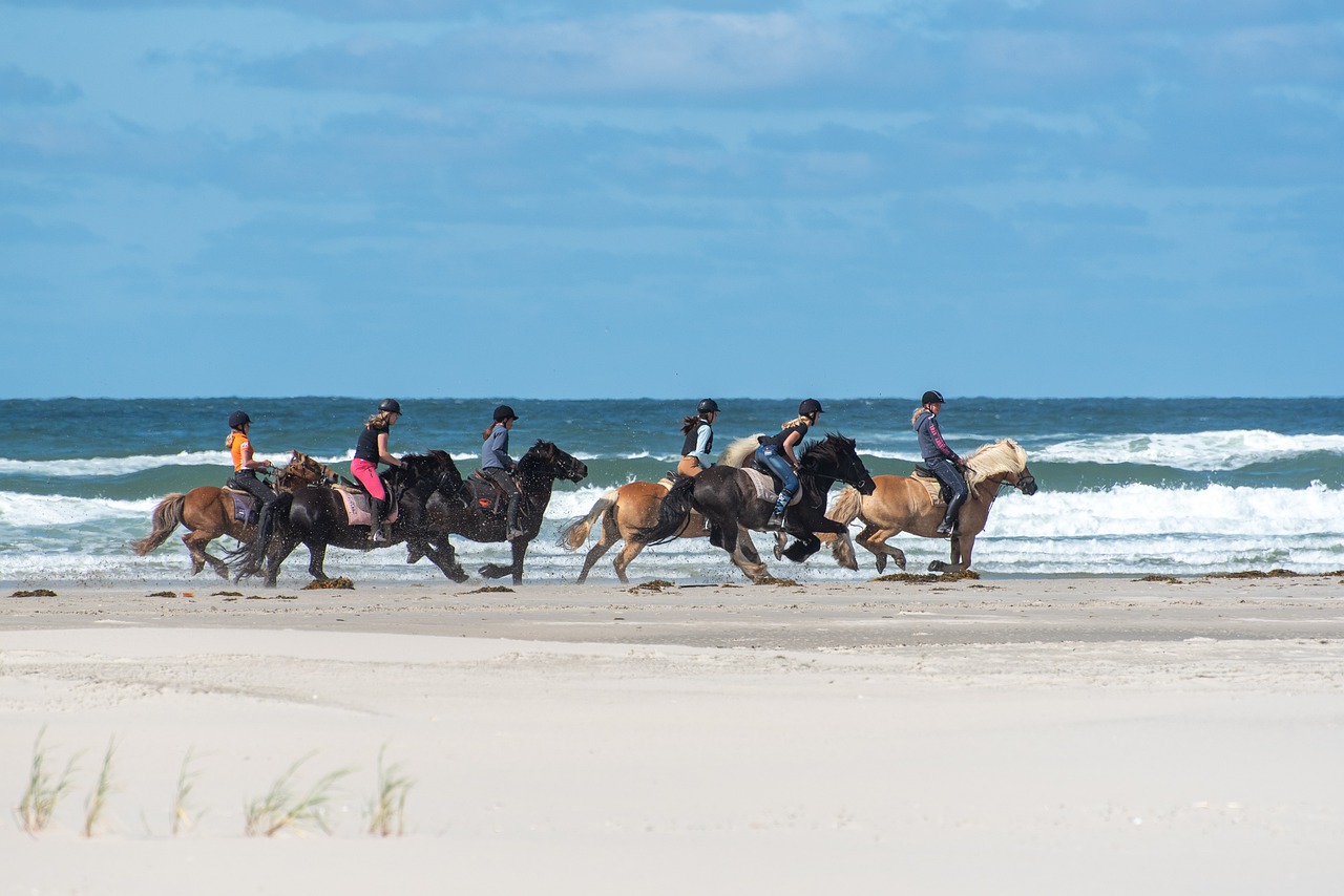 Vakantie Terschelling paarden strand