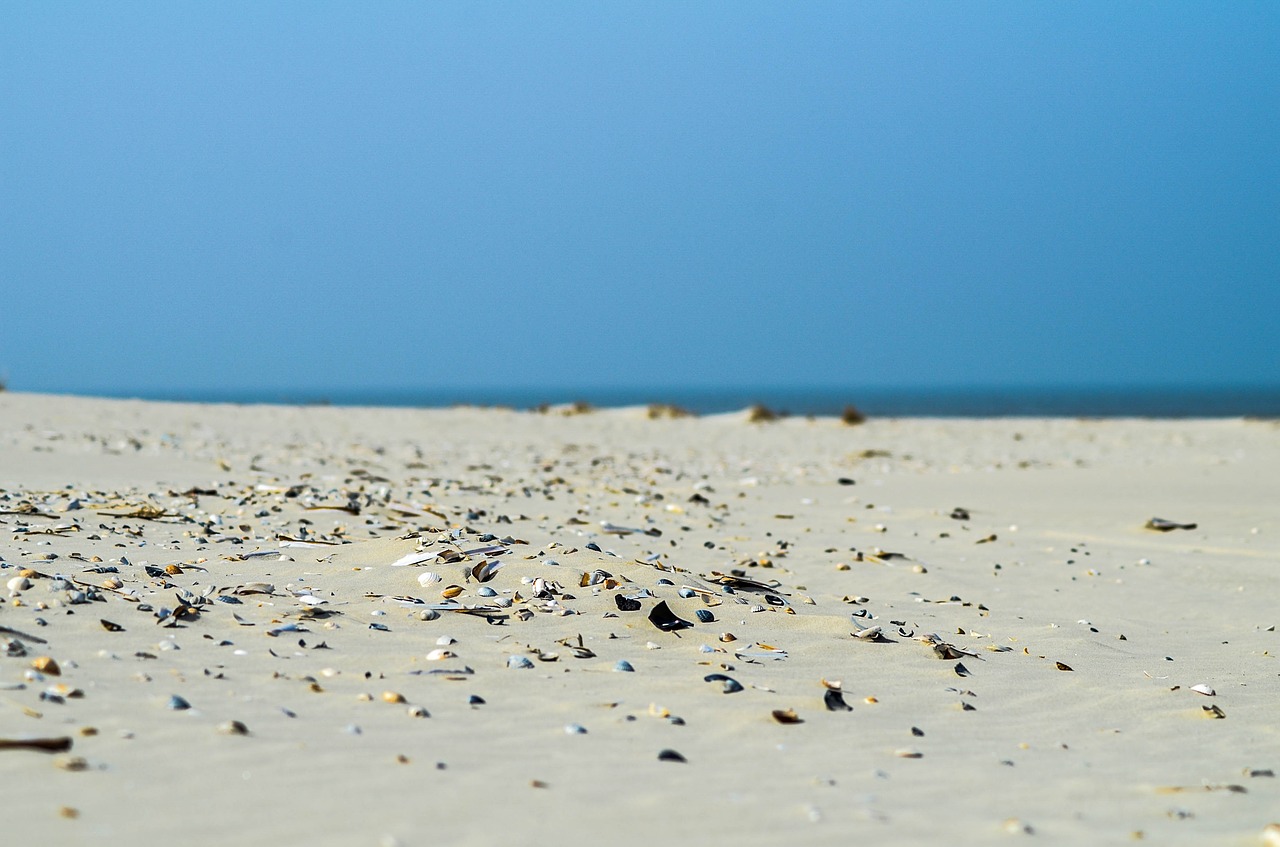 Terschelling Waddeneiland vakantie strand